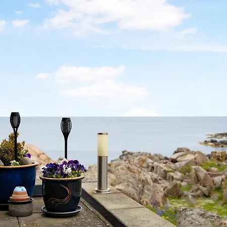 On The Bornholm Cliffs * Allinge-Sandvig